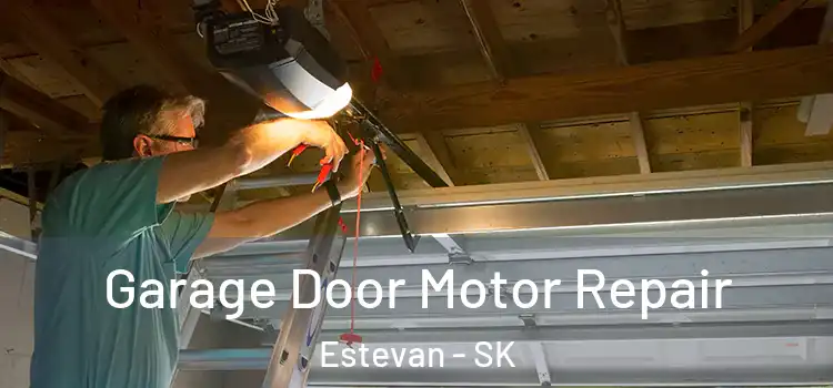  Garage Door Motor Repair Estevan - SK