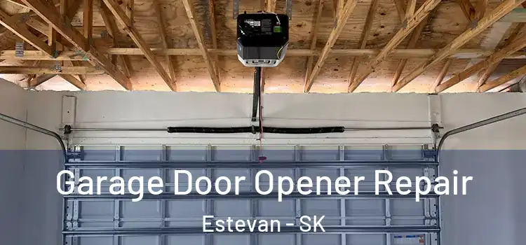  Garage Door Opener Repair Estevan - SK