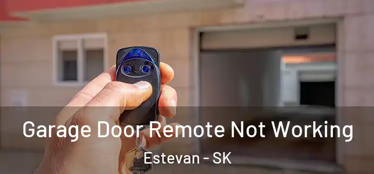  Garage Door Remote Not Working Estevan - SK
