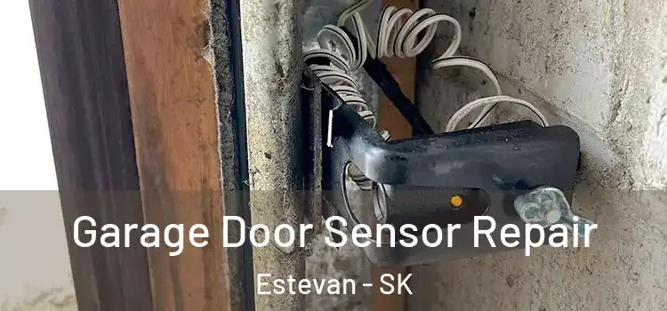  Garage Door Sensor Repair Estevan - SK