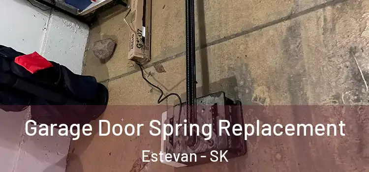  Garage Door Spring Replacement Estevan - SK