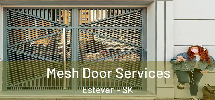  Mesh Door Services Estevan - SK