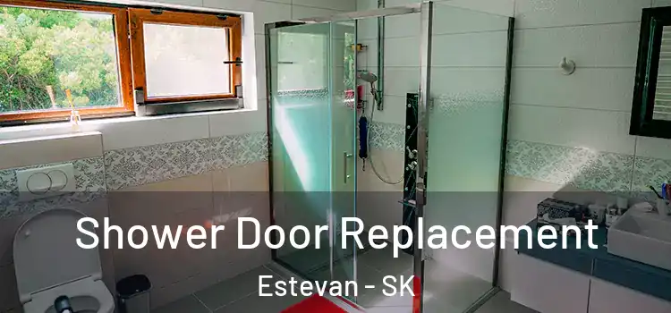  Shower Door Replacement Estevan - SK